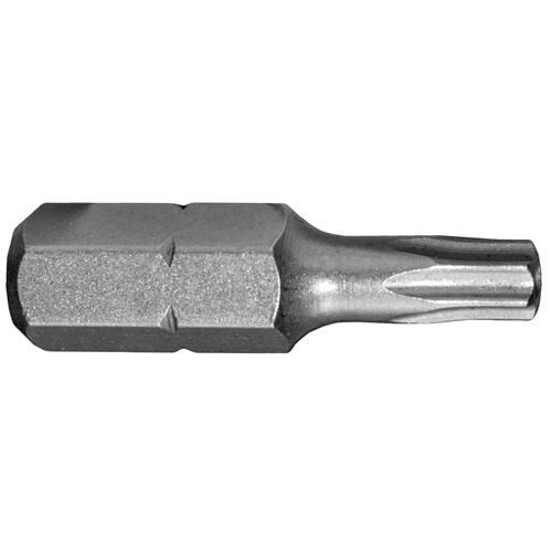 Picture of SECURITY T10 STAR INSERT