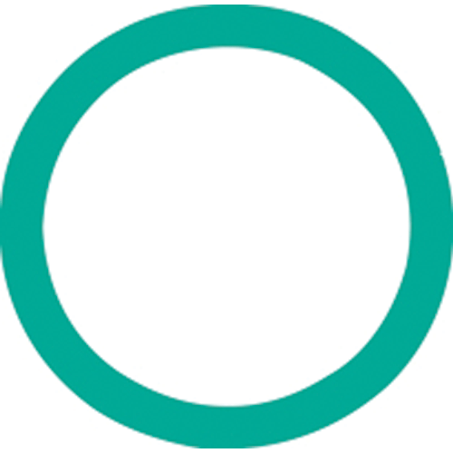 Picture of O-RING
