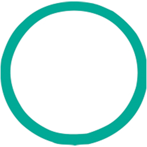 Picture of O-RING