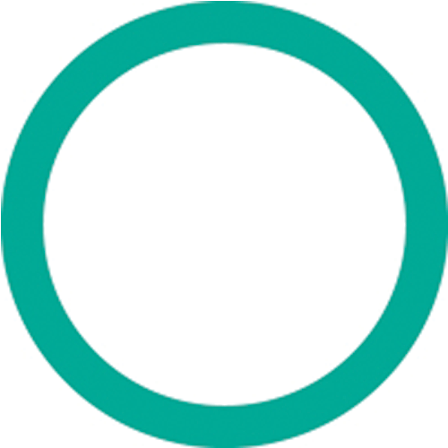 Picture of O-RING
