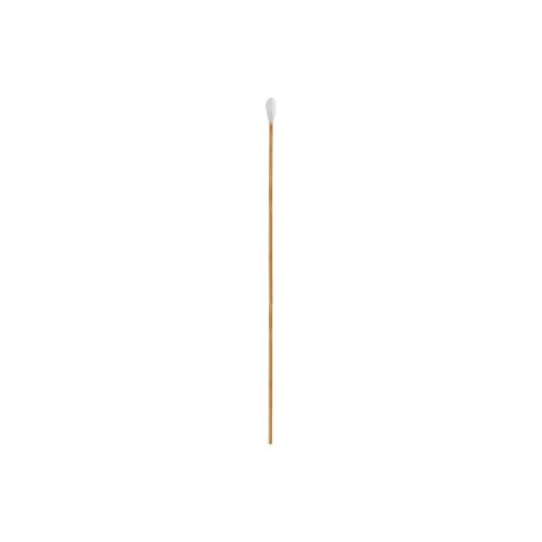 Picture of .38 Caliber RamRodz™