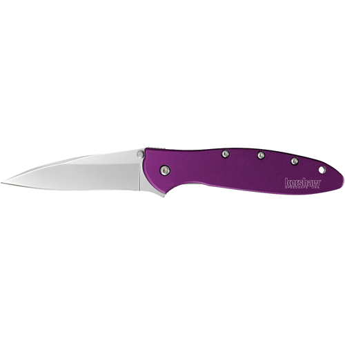 Picture of LEEK - PURPLE