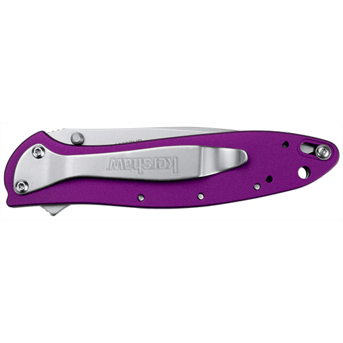 Picture of LEEK - PURPLE
