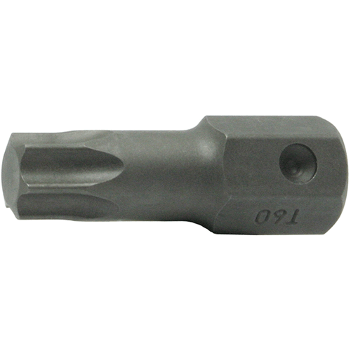 Picture of 16mm Hex Dr. Bit TORXplusÂ® 60IP  Length 50mm