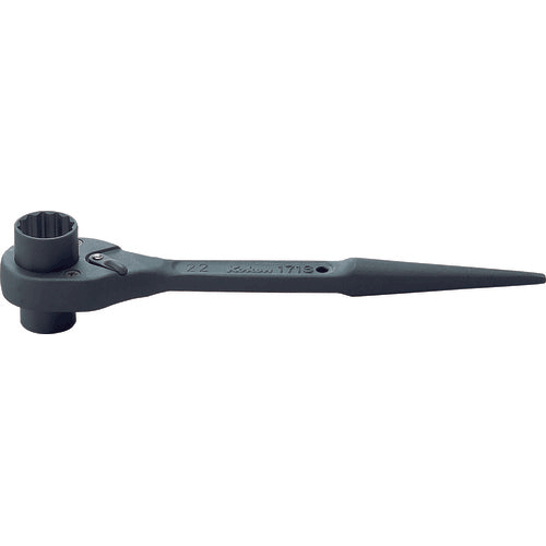 Picture of Spud Ratchet  19 x 21mm 12 point Length 250mm