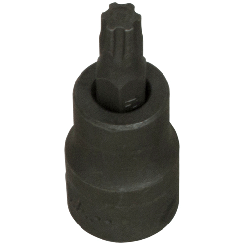 Picture of TP40 TORX PLUS BIT