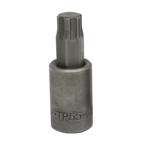 Picture of TP55 TORX PLUS BIT