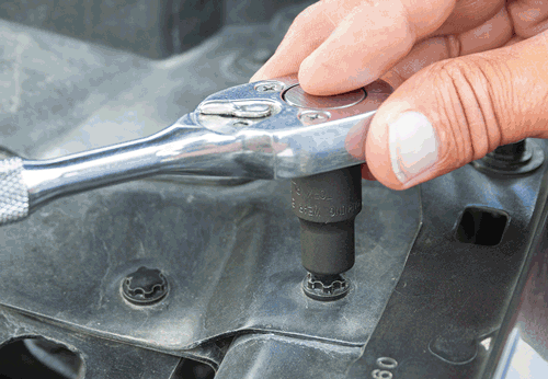 Picture of External Torx Plus® Socket 
Set