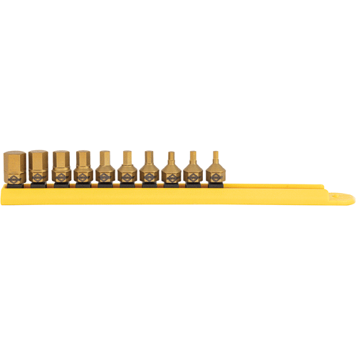 Picture of 10 Pc. SAE Hex Titanium Coated Dual Drive Set