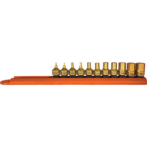Picture of 11 Pc. Metric Hex Titanium Coated Dual Drive Set