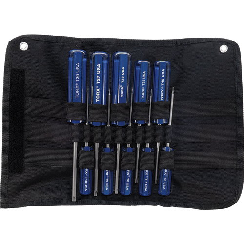 Picture of 10 PC TORX T6-T30 SCREWDR