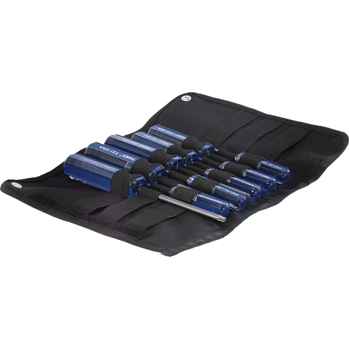 Picture of 10 PC TORX T6-T30 SCREWDR