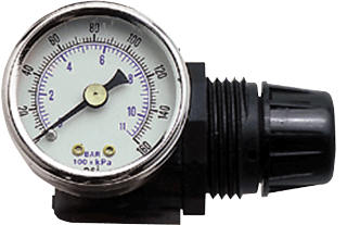 Picture of RG-4049 1/4NPT REG W/GAGE