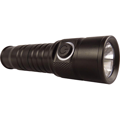 Picture of 12V Rechargeable LED Torch
